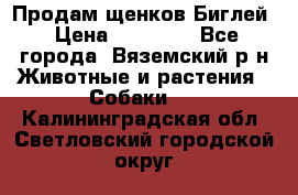 Продам щенков Биглей › Цена ­ 15 000 - Все города, Вяземский р-н Животные и растения » Собаки   . Калининградская обл.,Светловский городской округ 